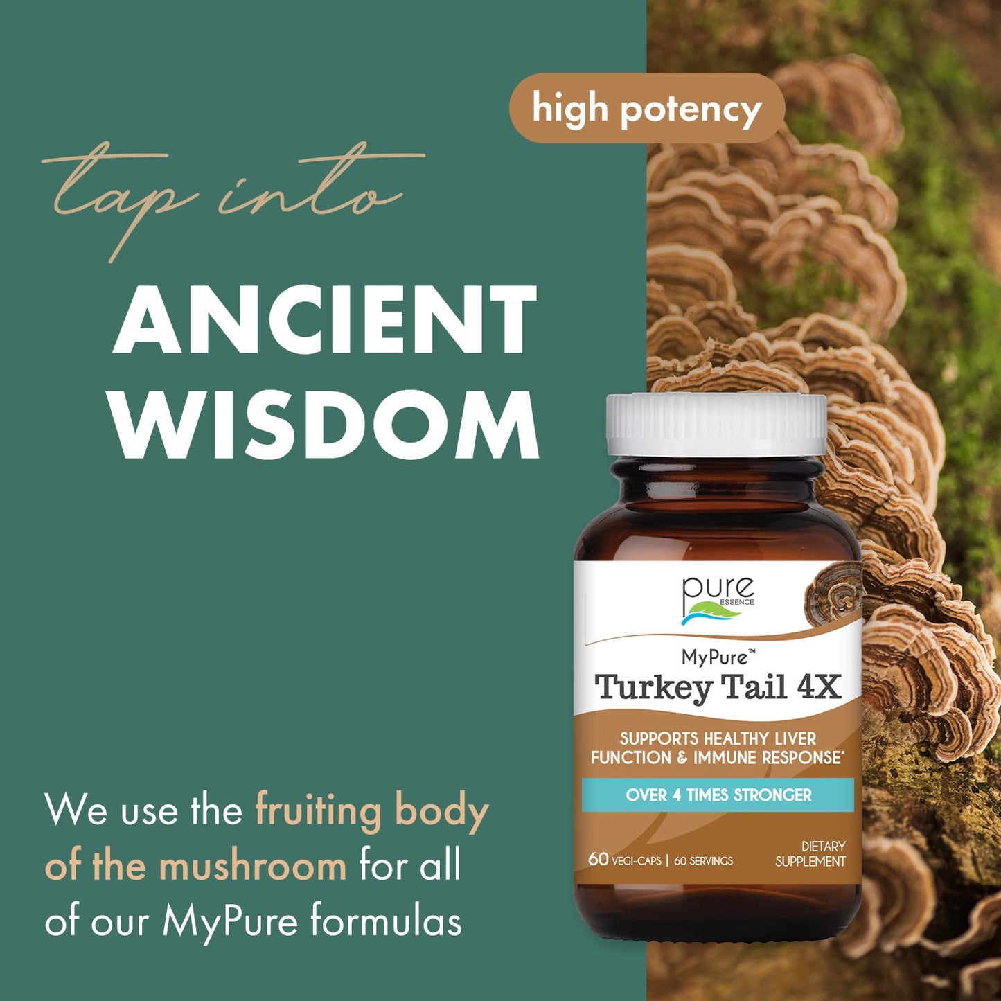 PURE ESSENCE LABS Organic Turkey Tail 4X Mushroom Extract, Vegan Mushrooms Supplement for Immune Building, 30 Capsules