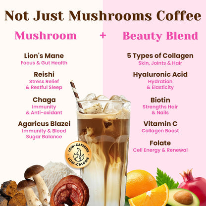 Venture Pal Mushroom Coffee, 12 Mushrooms, Focus & Digestion, 40 Servings | 12 Adaptogenic Mushrooms with Lion's Mane, Cordyceps, Reishi, Turkey Tail, Ashwagandha & Probiotics, Low Caffeine & Calories