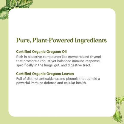 PURE SYNERGY SuperPure Oregano Extract | Oregano Oil Extract Capsules | Organic Oil and Leaf Supplement | for Immune, Digestive, and Respiratory Health (60 Capsules)