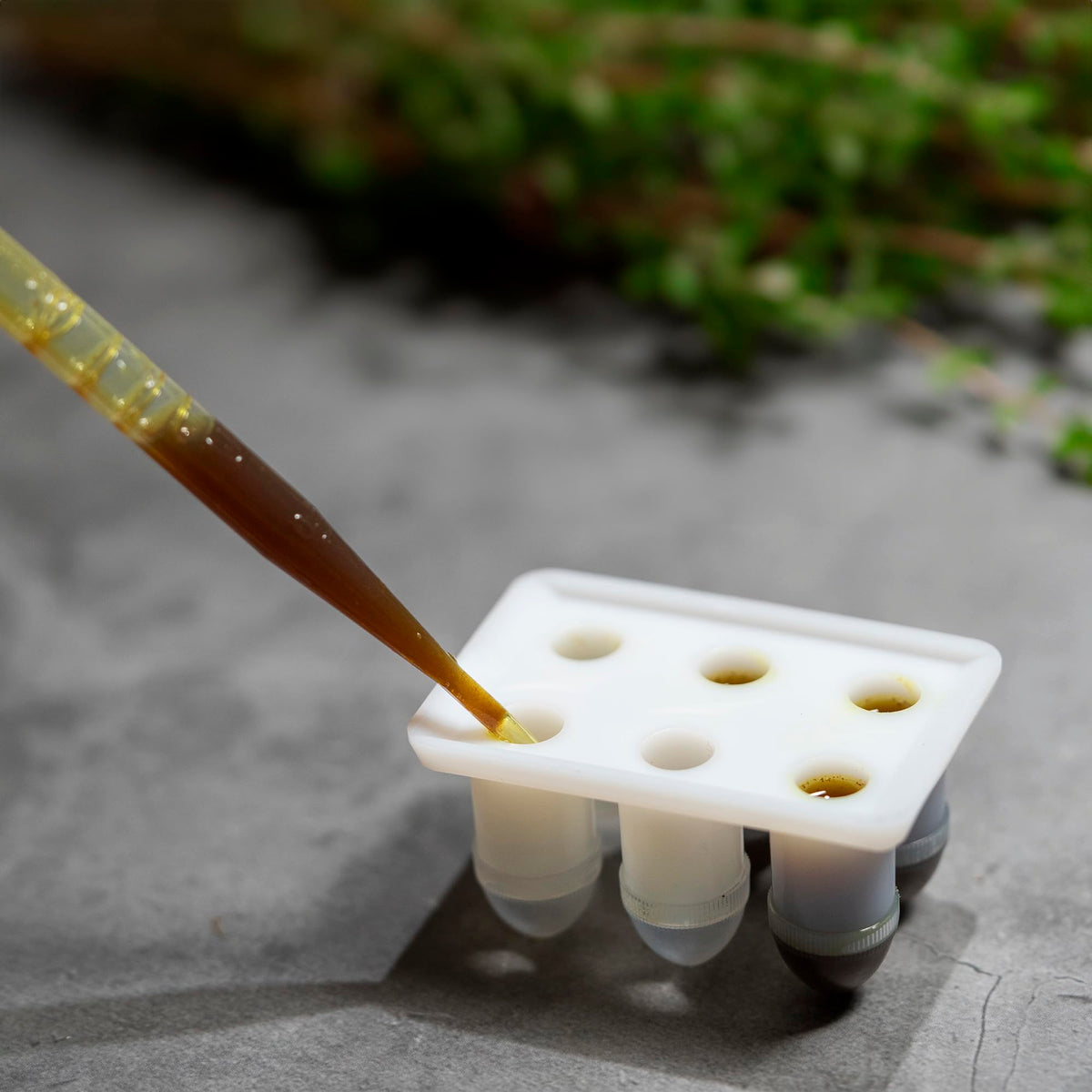 Suppository Molds Kit - Made in France, 3 Sizes (1ml, 2ml, 3ml), Reusable Suppositories Mold - 4 Trays