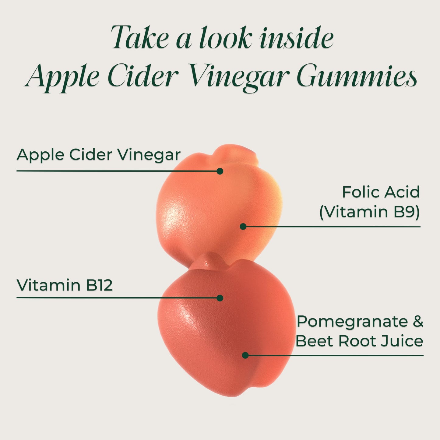 Primal Harvest ACV Gummies, 60 Sugar Free Apple Cider Gummies Beetroot and Pomegranate to Support Immunity, Digestion and Detox 750 MG
