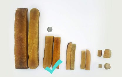 Yak Chewy 2oz Travel Size Natural Himalayan Goodness Dog Chew