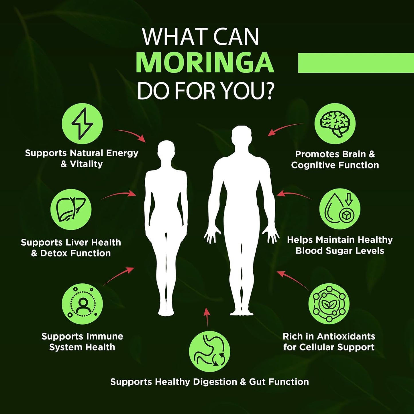 OmniBiotics Organic Moringa Capsules 1000mg Per Serving (120 Vegan Capsules) - Powerful 20:1 Moringa Oleifera Extract for Antioxidant, Immune & Cellular Support, Certified Kosher, Made in USA(60 Days)