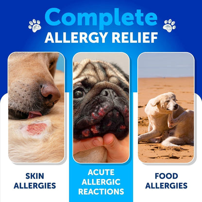 Dog Allergy Relief + Probiotics for Dogs Bundle - Itch Relief for Dogs - Fish Oil - Omega 3 - Itchy Skin Relief - Seasonal Allergies - Anti Itch Support & Hot Spots - Dog Probiotics and Digestive Enzy