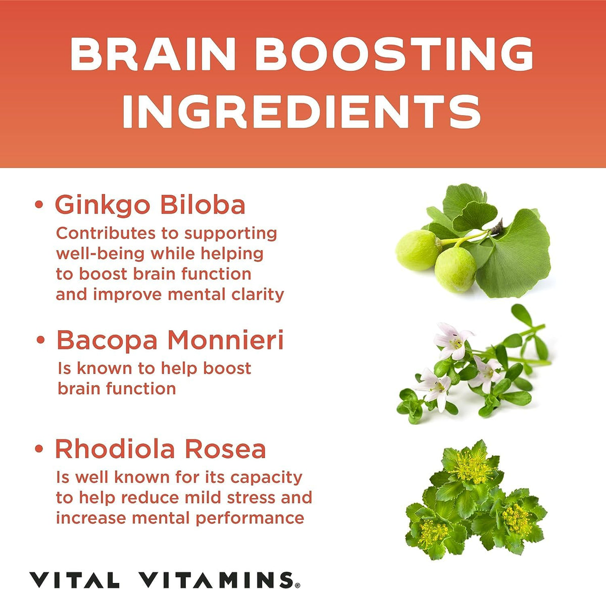 Vital Vitamins Brain Supplements for Memory and Focus - Nootropic Brain Support