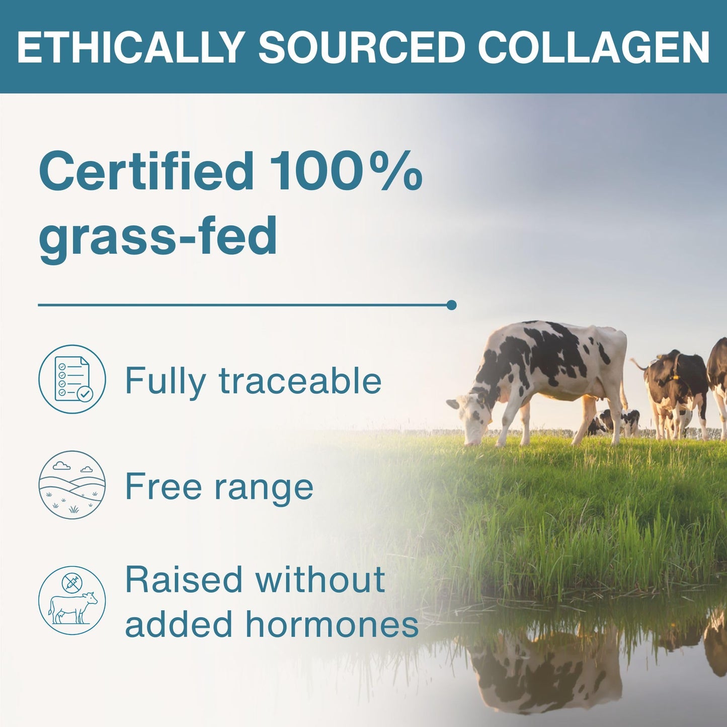 Igennus Free Range Grass Fed Hydrolyzed Bovine Collagen Peptides, Neutral Taste, 100% Highest Grade Bovine Collagen Protein Powder, Types 1, 2 & 3, Clean Label, Non-GMO, Free Range, 40 Servings