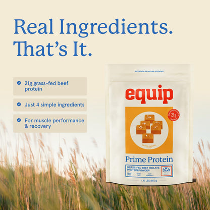 Equip Prime Chocolate Protein Powder - Gut-Friendly, No Sugar Protein Shake Powder with Grass-Fed Beef & Natural Collagen - Rich & Creamy Mix - 21g Per Serving - Whey & Dairy-Free (30 Scoops)