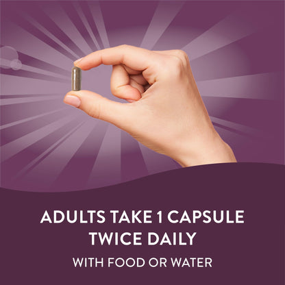 Nature's Way Standardized Horse Chestnut, Premium Extract for Healthy Veins and Blood