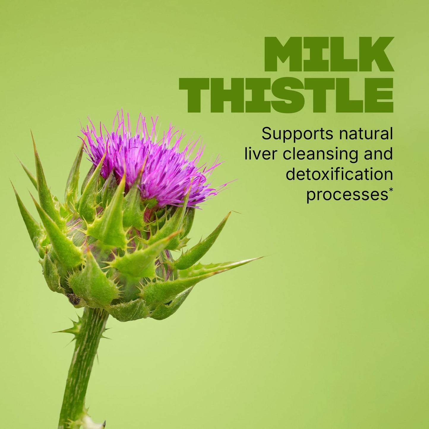 Swisse Milk Thistle Supplement – Liver Cleanse Detox & Repair with Turmeric & Artichoke Extract – Liver Health & Support Supplement for Men & Women, Vegan, 180 Tablets (90-Day Supply)