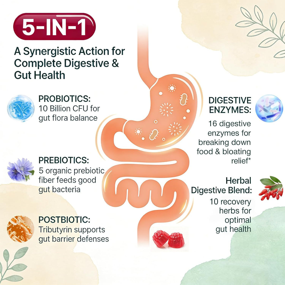 Probiotic Gummies, Probiotics for Gut Health, 0 Sugar - 60 Counts