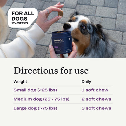 PetLab Co. Probiotic Chews for Dogs, 30 Soft Chews, Salmon | 8-strain probiotic blend with prebiotics to support digestive health, skin and seasonal allergy support