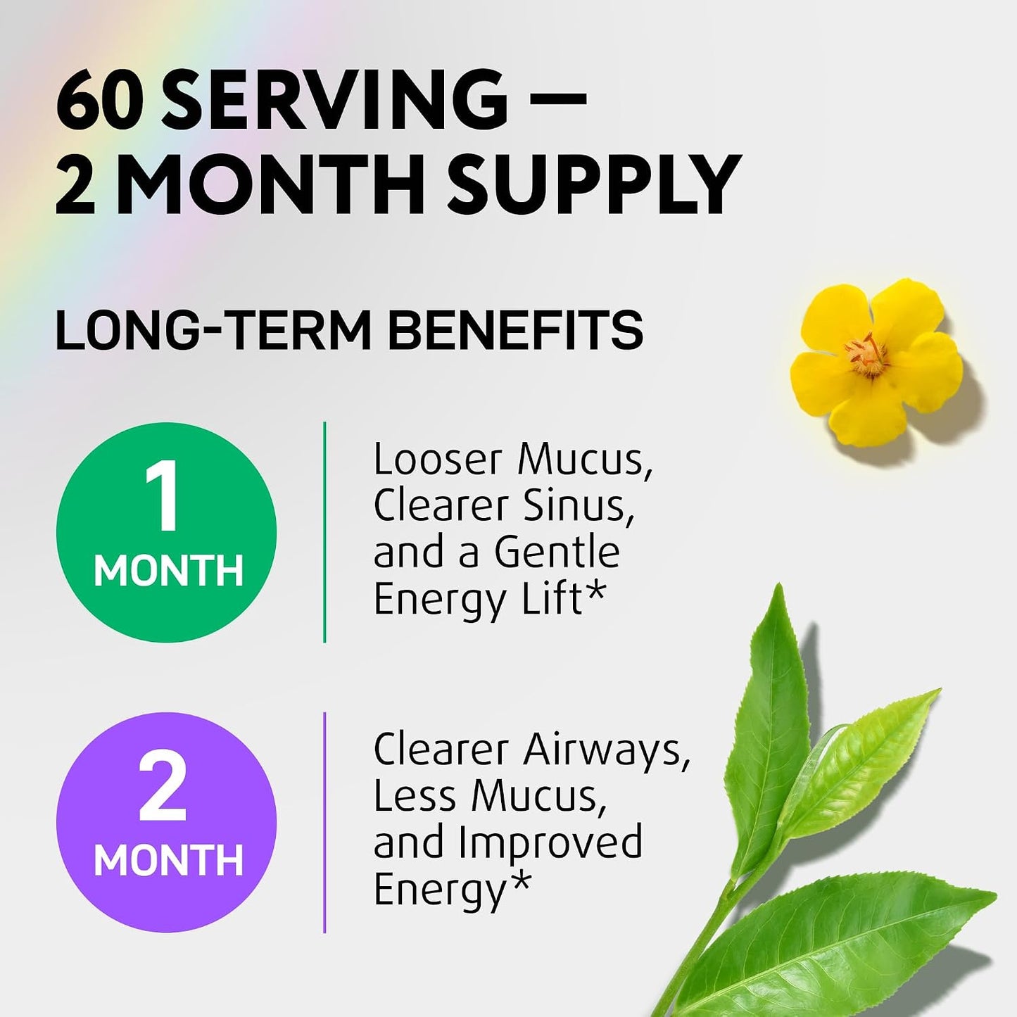 Mullein Drops for Lungs - USDA Organic Mullein Leaf Extract Supplement, 2oz | Supports Respiratory & Immune Health, Mucus Comfort*