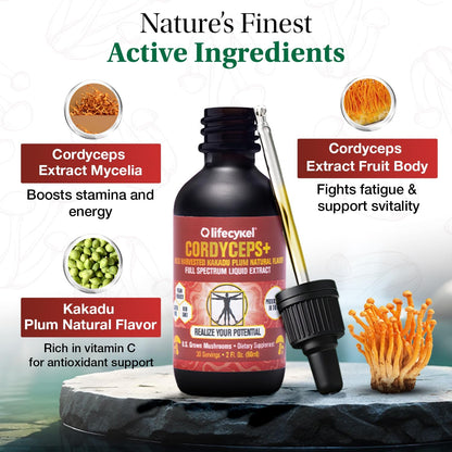 Life Cykel Cordyceps +Lion's Mane Extract Performance Pack - Organic Mushroom Supplement for Energy, Focus & Mental Clarity - USA Made, Pure & Potent Mushroom Liquid Drops for Adults