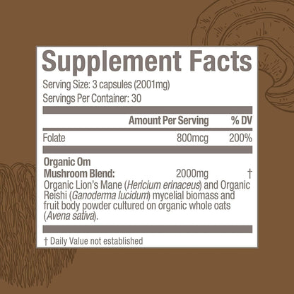 OM MUSHROOM SUPERFOOD Brain Fuel Mushroom Powder Capsules Superfood Supplement, 90 Count, 30 Days, Lion's Mane, Reishi Blend Plus Folate, Mental Clarity, Mushroom Supplement
