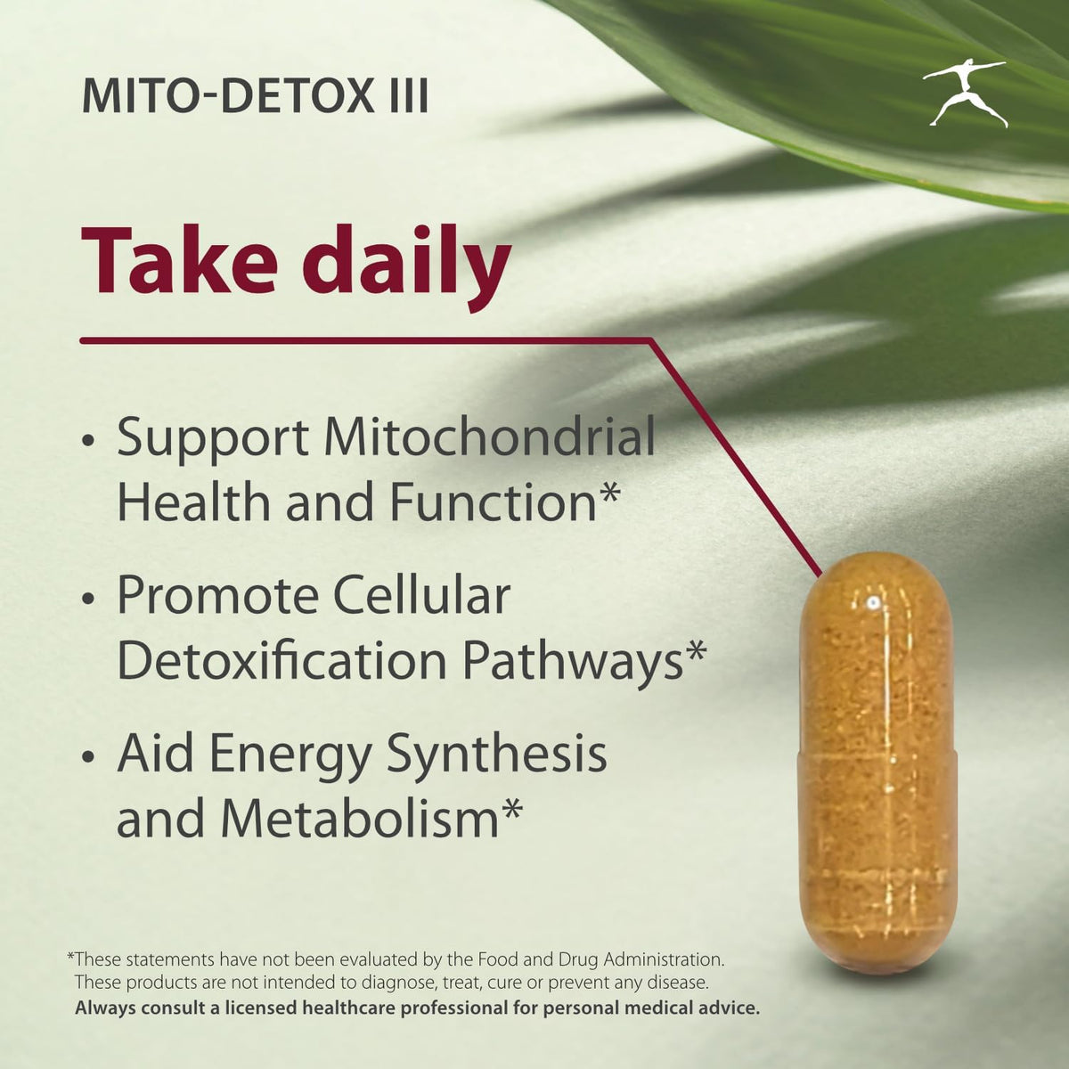 BIOSPEC NUTRITIONALS Mito-Detox III - N-Acetyl Cysteine (NAC), Acetyl L-Carnitine, Alpha Lipoic Acid (ALA), Co-Q-10