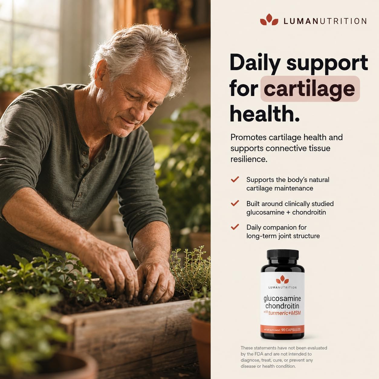 Luma Nutrition Glucosamine Chondroitin MSM Supplement - 90 Capsules