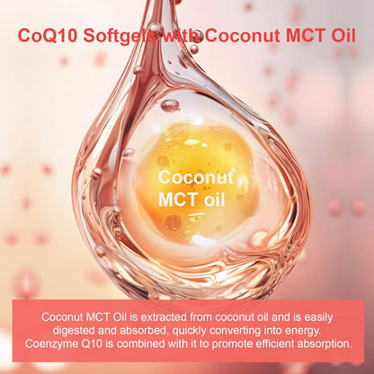 ALA & CoQ10 Capsules 2-Pack Bundle – Supports Advanced Antioxidant Action & Cellular Energy for Adults
