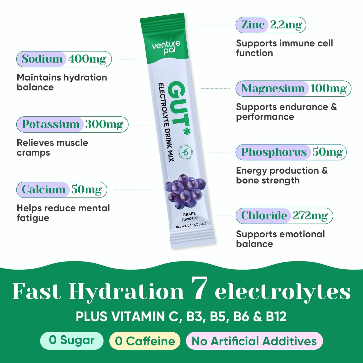 Venture Pal Sugar Free Hydration Packets + Gut Health Electrolytes Powder | Liquid Daily IV with 7 Electrolytes, 5 Vitamins, Probiotics & Fiber for Dehydration Relief and Gut Health Support