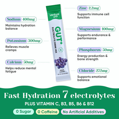 Venture Pal Sugar Free Hydration Packets + Gut Health Electrolytes Powder | Liquid Daily IV with 7 Electrolytes, 5 Vitamins, Probiotics & Fiber for Dehydration Relief and Gut Health Support