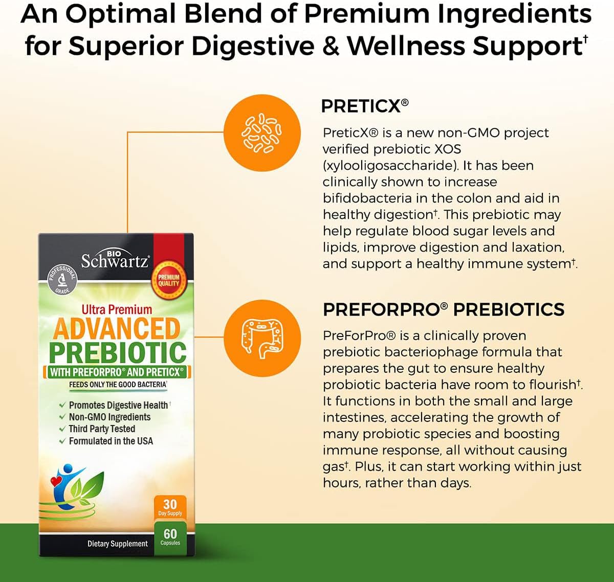 Advanced Prebiotic Fiber | Fast Acting Gut Health Supplement | 60 Capsules