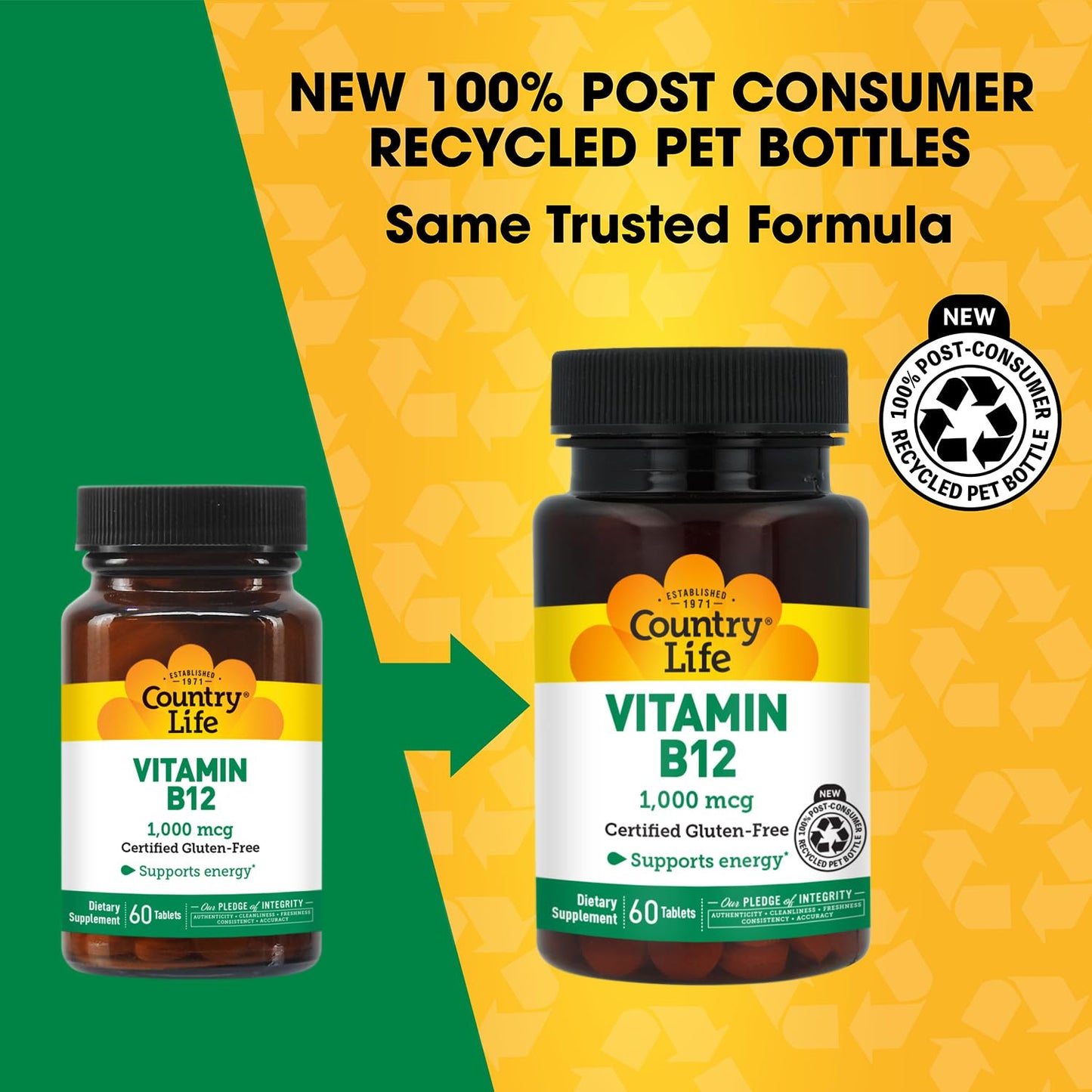 Country Life Vitamin B12 Supplement - Essential for Brain Function, Nerve Health, Red Blood Cells - Ideal for Anemia Prevention - Vegan Vitamin B, 1000 mcg - Gluten-Free, 60 Tablets