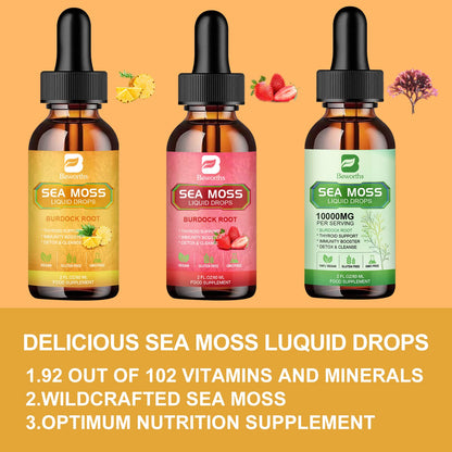 B BEWORTHS Sea Moss Liquid Drops - Organic Irish Sea Moss Gel with Burdock Root