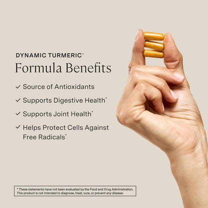 Stonehenge Health Dynamic Turmeric, Dynamic Biotics Probiotic: Joints and Digestion Support Bundle