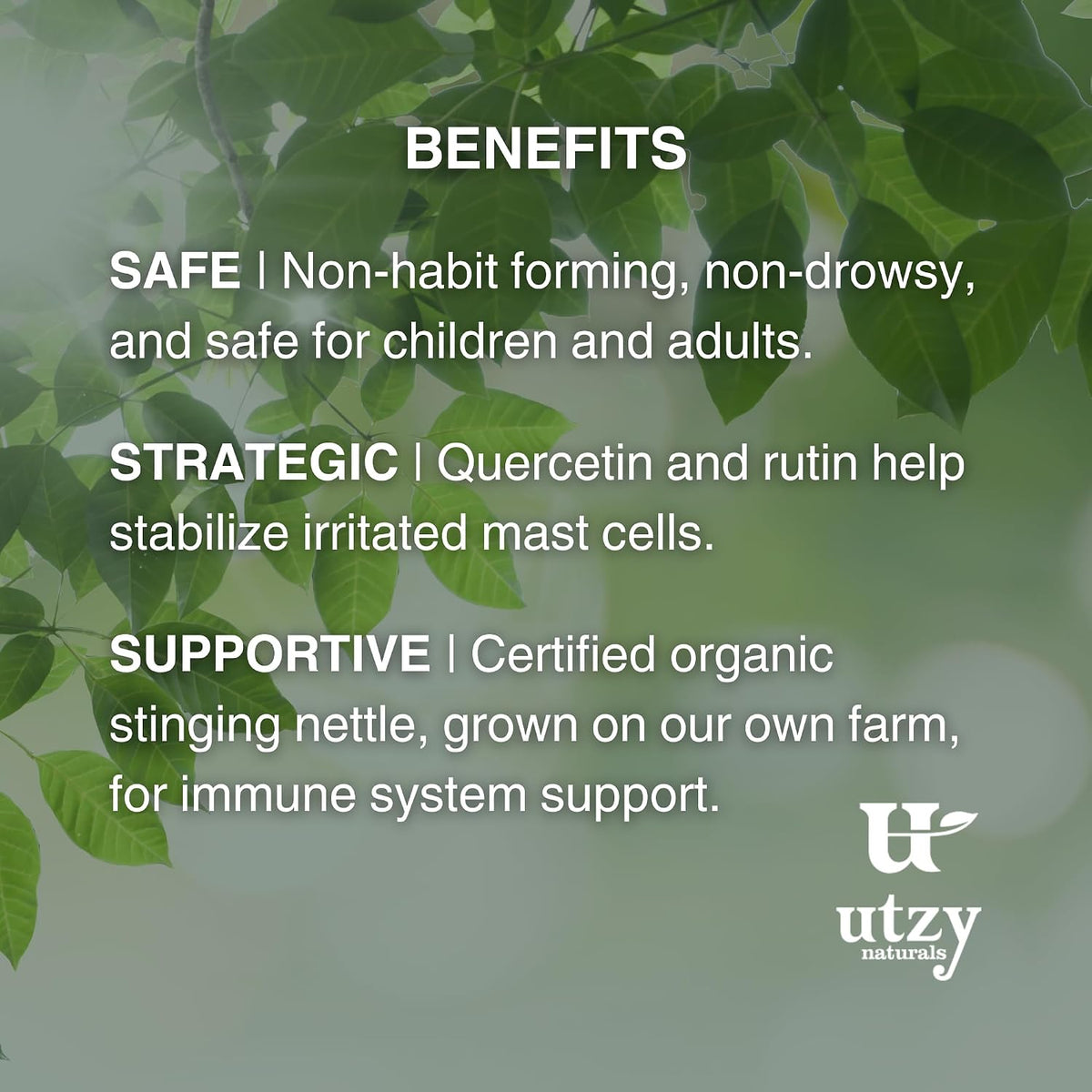 Utzy Naturals Sinus and Respiratory Support Bundle | Allurtica, 60 Capsules, and Omega-3 Fish Oil, 60 Capsules