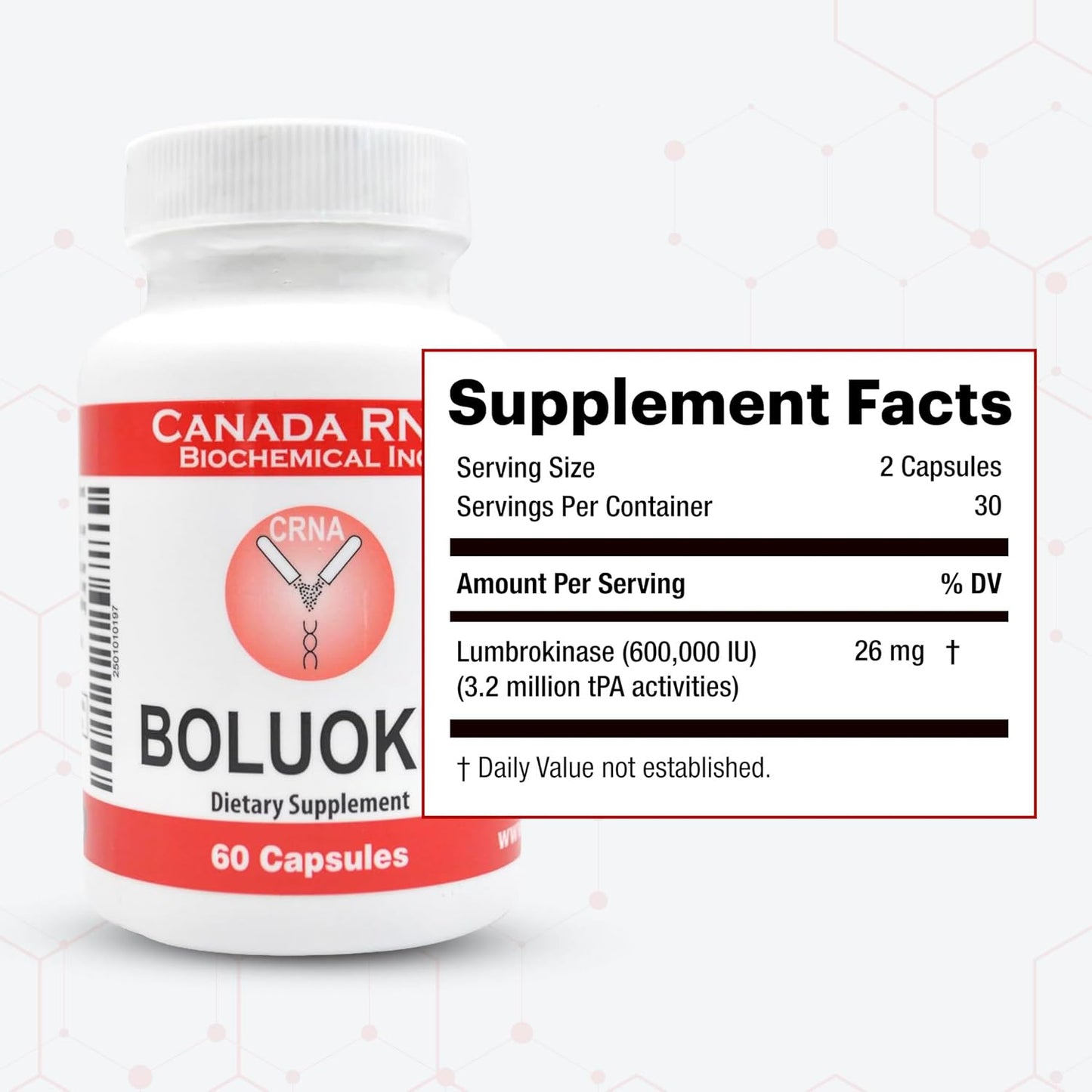 Boluoke Canada RNA Lumbrokinase Enzyme Supplement - Traditionally Inspired Circulatory Wellness Formula - Targeted Delivery Capsules - 60 Capsules