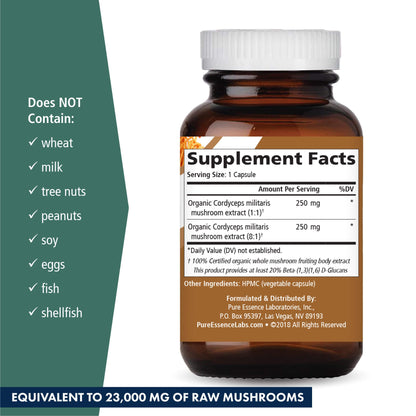 PURE ESSENCE LABS MyPure Cordyceps 4X Mushrooms - Concentrated Cordyceps Mushroom Powder Supplements for Immune System, Stress Response, Physical & Mental Performance - 2 Months Supply