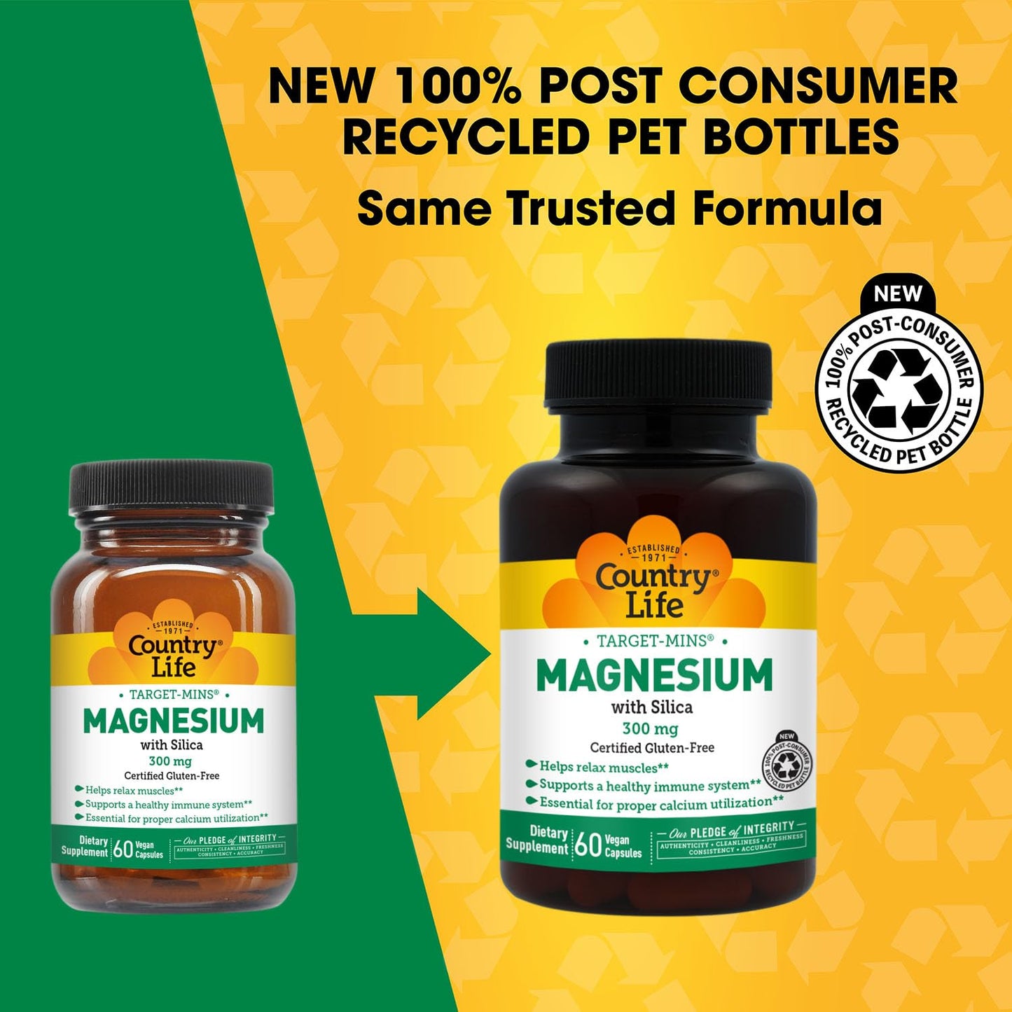 Target-Mins Magnesium with Silica 300 mg 120 Vegetarian Capsules | Vegan, gluten-free blend of 5 magnesium forms. Supports muscle, bone, and immune health