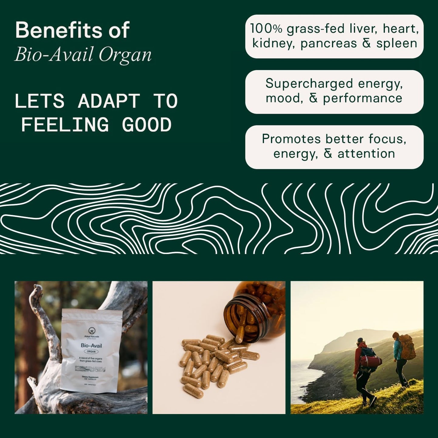 Adapt Naturals Foundational Nutrition Bundle – Bio-Avail Multivitamin & Organ Supplement with Grass-Fed Liver, Heart, Kidney & More – 30-Day Supply