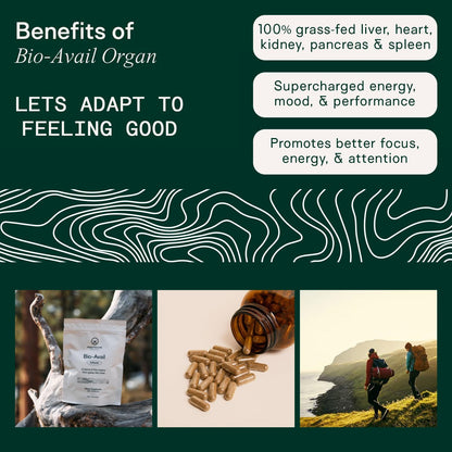 Adapt Naturals Foundational Nutrition Bundle – Bio-Avail Multivitamin & Organ Supplement with Grass-Fed Liver, Heart, Kidney & More – 30-Day Supply
