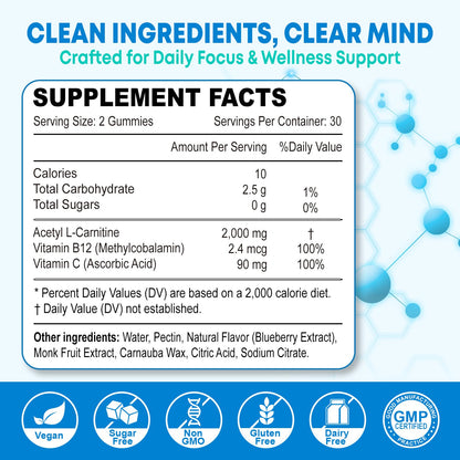 2 Pack Sugar Free Acetyl L-Carnitine Gummies, L-Carnitine Supplement for Women & Men, with Vitamin C & B12, ALCAR for Energy, Brain & Heart Health Support, Vegan, Non-GMO, 120 Count
