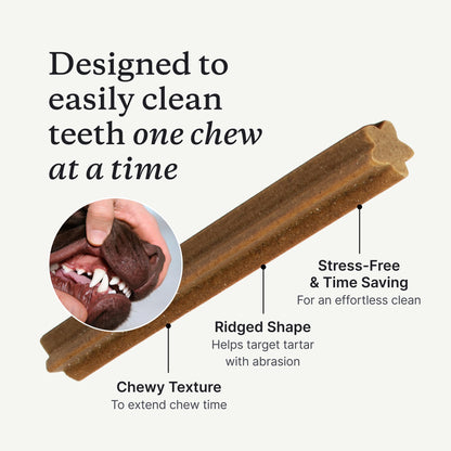 PetLab Co. Dental Sticks – Dog Dental Chews -Target Plaque & Tartar Build-Up at The Source - Designed to Maintain Your Dog’s Oral Health, Keep Breath Fresh and Provide Digestive Help (24 Sticks) | Ridged texture with chicory root prebiotic and peppermint