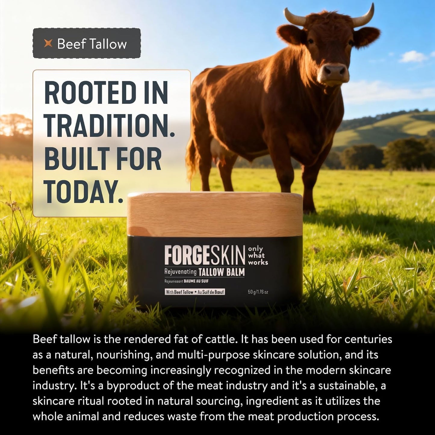 Forge Skin Face Moisturizer for Men Wrinkle Defense Beef Tallow Balm, 1.7oz | 100% grass-fed beef tallow, essential oils, paraben-free, no synthetic fragrance, minimizes look of fine lines, men 35+