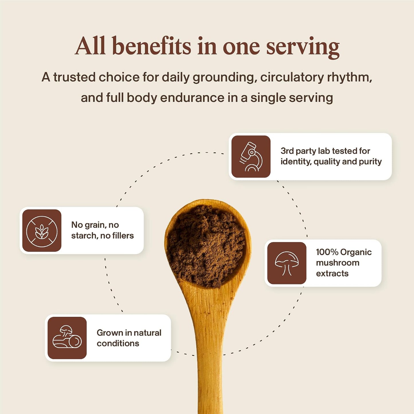 Real Mushrooms Reishi Mushroom Powder - Handpicked Organic Mushroom Extracts - Red Reishi for Tranquil Daily Wellness with Verified Beta Glucans Vegan, Non-GMO, No Grain Fillers, 45 Servings