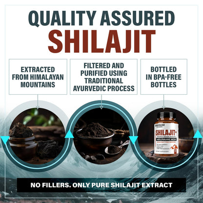 6,500mg Shilajit Supplement with 40% Fulvic Acid (High Absorption) | Authentic Himalayan