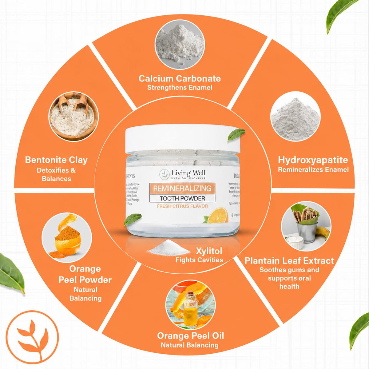 Living Well Dr. Michelle Remineralizing & Whitening Tooth Powder, Cool Mint
