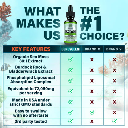 Irish Sea Moss Drops 2oz - Irish Sea Moss Organic, Burdock Root, Bladderwrack & BioPerine
