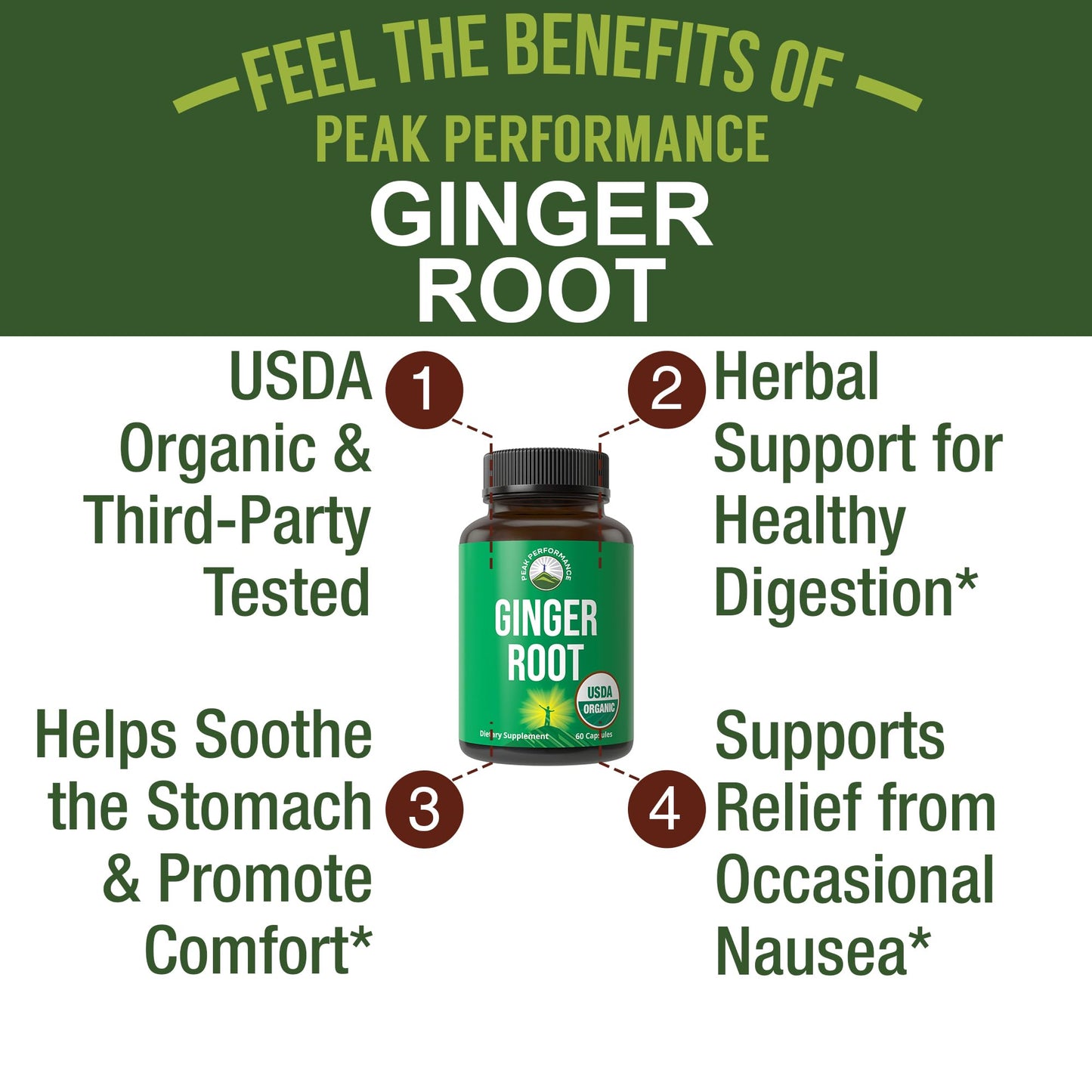 USDA Organic Ginger Root Extract Liquid Drops. Zero Sugar, Non Bitter Vegan Ginger Oil Supplement for Immune, Digestive + Gut Support. High Bioavailability, Gluten Free for Women and Men. Take Orally