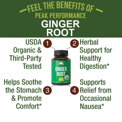 USDA Organic Ginger Root Extract Liquid Drops. Zero Sugar, Non Bitter Vegan Ginger Oil Supplement for Immune, Digestive + Gut Support. High Bioavailability, Gluten Free for Women and Men. Take Orally