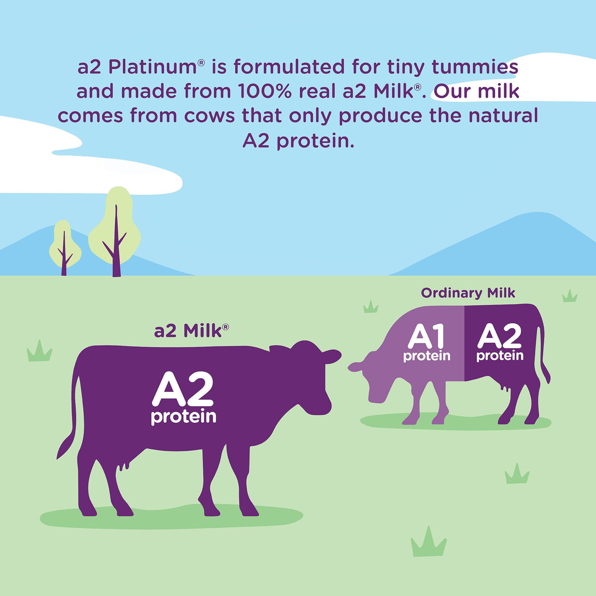 a2 Platinum Premium Infant Formula for Babies 0-12 Months | Milk-based Powder with Iron