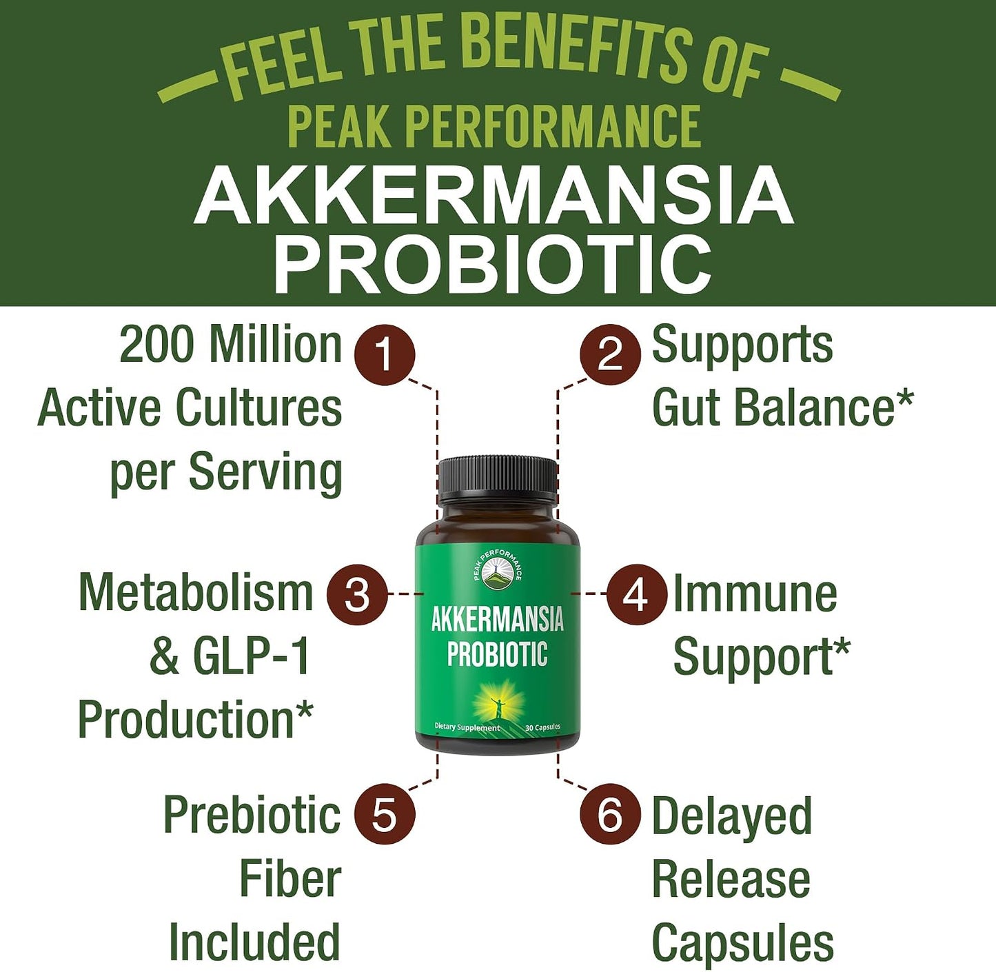 Peak Performance Akkermansia Probiotic to Increase GLP-1 Production - Ultra High Strength Akkermansia Muciniphila Live Strain with Prebiotic Fiber for Gut Health - Delayed Release, 3rd Party Tested