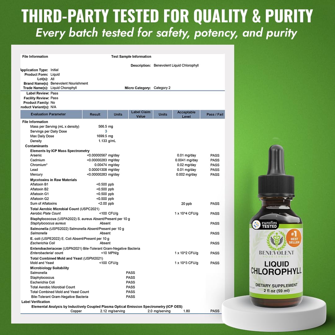 Benevolent Nourishment Chlorophyll Supplement, Detox & Immune Support, Internal Deodorizer, Liquid Drops