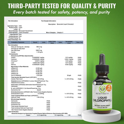 Benevolent Nourishment Chlorophyll Supplement, Detox & Immune Support, Internal Deodorizer, Liquid Drops