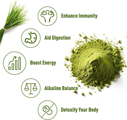 Unleash’d Organic Wheatgrass Powder 16 oz – 100% Pure Superfood, Rich in Vitamins, Fiber & Minerals for Immune Support & Wellness