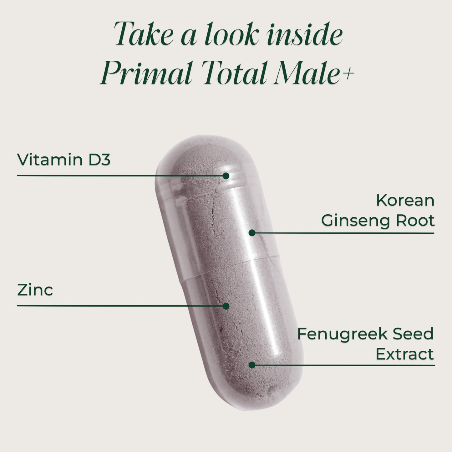 Primal Harvest Total Male+ - Daily Supplement, Dairy & Soy Free, for Men