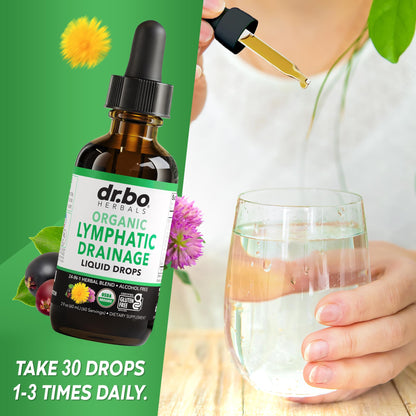 Lymphatic Drainage Supplements Drops - Organic Lymphatic Support Liquid Drops Cleanse with Echinacea, Lymph System Support Supplement, Lymph Node Detox Cleanse System Drainage - 1oz Non-GMO Organics