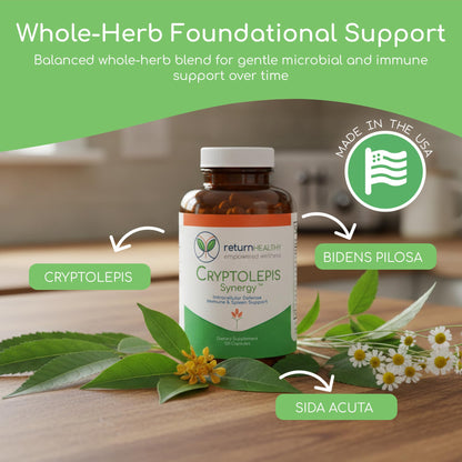 Cryptolepis Synergy, Immune Support Vitamins, Immune System Booster for Adults, Liver, Lymphatic, & Immune Support Supplement, Supports Lyme & Natural Parasite Defense, 120 Capsules